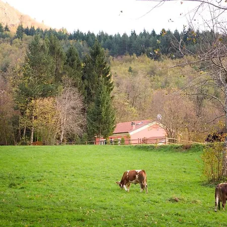 Casa Fragola Holiday home *